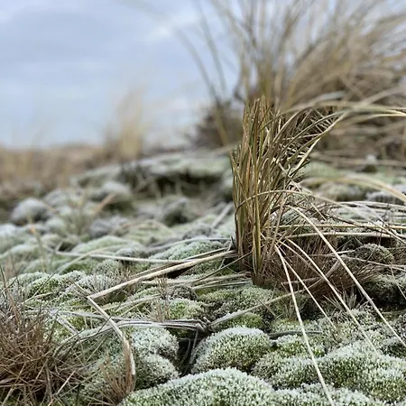 Apartmán Haus-sylter-welle-4-32 *